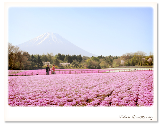 富士山 結婚写真