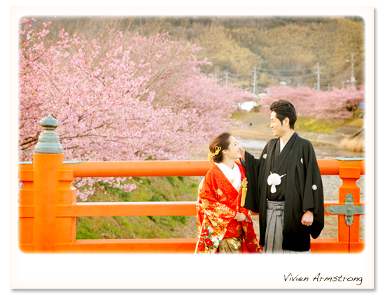 河津桜に赤い橋で結婚写真