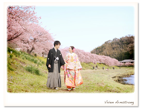 満開の河津桜を眺めながら旅行気分の桜ロケーション