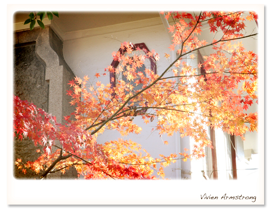 西洋館の真っ赤な紅葉