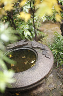 東京の茶寮市松の庭園。VivienArmstorngが紹介する会食付きのフォトウェディングプランのイメージカット