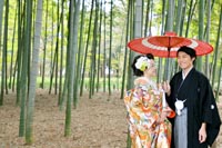 東京の竹林のある日本庭園で、赤い和傘を持つ新郎とカラフルな色打掛を着る新婦の、和装婚礼前撮り写真