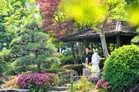 東京の東屋のある日本庭園で、新緑の季節に和装の婚礼前撮り写真を撮る紋付き袴の新郎と白無垢姿の新婦