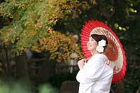 紅葉が美しい日本庭園で和装の婚礼前撮りをする白無垢に赤い番傘を持つ新婦の一人の写真