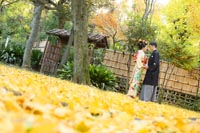 東京の日本庭園で、紅葉の季節に銀杏の絨毯をたっぷり写した季節感のあるウェディングフォトを撮る和装の新郎新婦