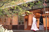 中庭のあるお茶室の縁側に立つ新郎と白無垢姿の新婦の和装の婚礼前撮り写真