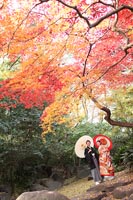 東京の紅葉がきれいな日本庭園で、秋に和装の前撮りをする、和傘をもつ新郎と新婦