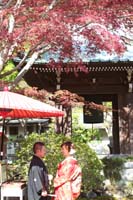 横浜鎌倉三渓園 光きらめく日本庭園で季節の木々をいかして思い出に残るロケーション和装前撮り