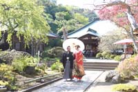 横浜鎌倉三渓園 光きらめく日本庭園で季節の木々をいかして思い出に残るロケーション和装前撮り