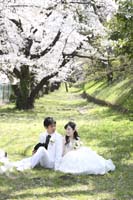 桜ロケーションフォトウェディング