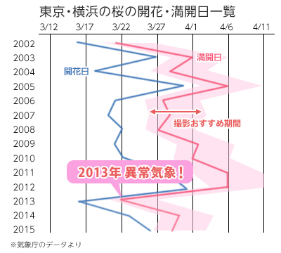 桜の開花日2016