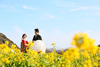 満開の菜の花畑でロケーションフォト