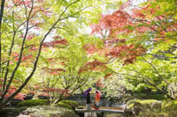 木々が色づき始めた清澄庭園でのロケーション撮影