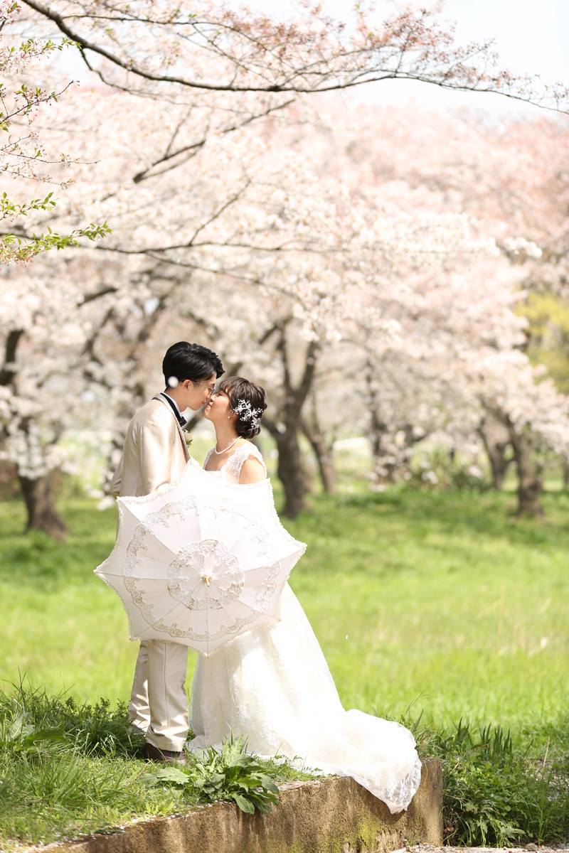 ウェディングドレスでドラマチックな桜ロケーションフォト