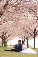 桜並木の芝生に腰掛け、画になるお二人