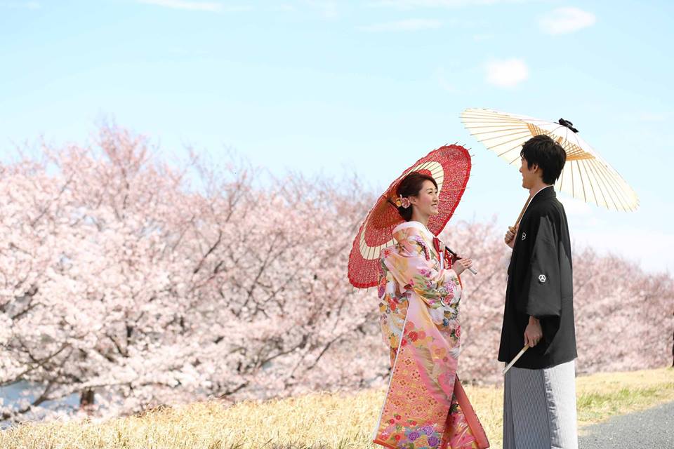 穏やかな風が吹く桜ロケーション日和