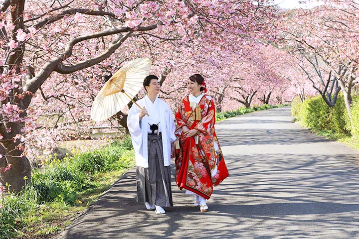 河津桜ロケーションで前撮り