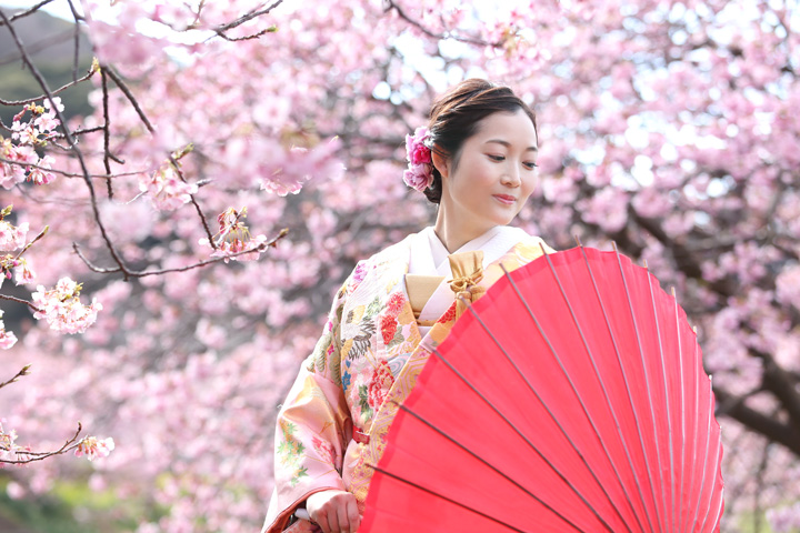 河津桜のロケーションで赤い傘をもってポーズを撮る花嫁