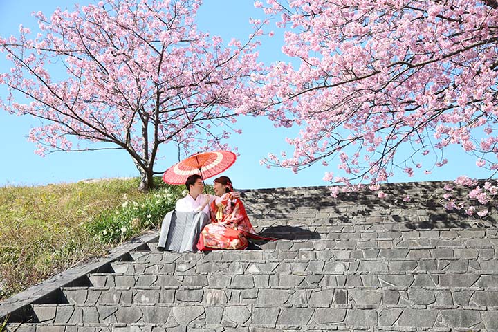 青空と桜の下で和装前撮り