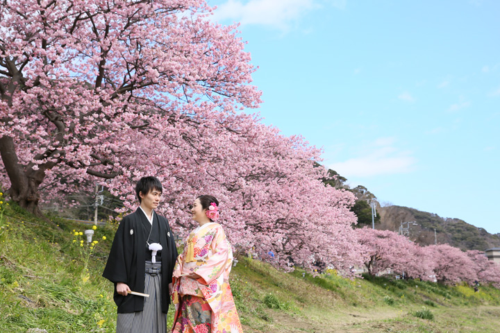 みなみの桜と菜の花まつりでフォトウェディング