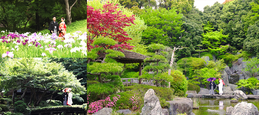 和装前撮り日本庭園