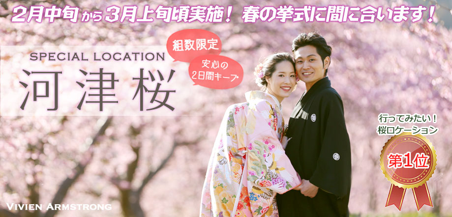 河津桜で前撮り
