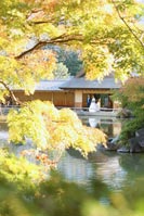 澄んだ水辺と柔らかい光、温かくも清々しい一枚に