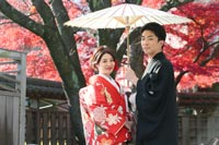 紅葉の日本庭園プラン 真っ赤なもみじの前で和装前撮り