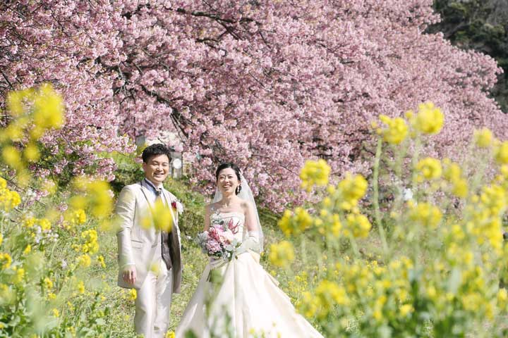 河津桜と菜の花で洋装フォトウェディング