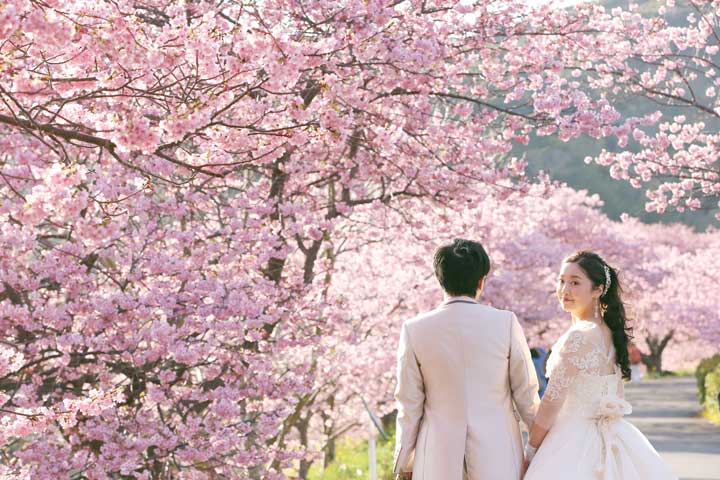 ウェディングドレスで河津桜フォトウェディング